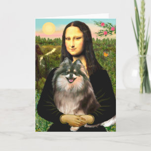 Pomeranian (parti) - Mona Lisa Kort