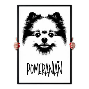 Pomeranian Pop Art Svart & Vitt Chic Estetik Poster