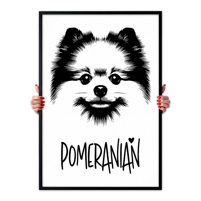 Pomeranian Pop Art Svart & Vitt Chic Estetik Poster (Pomeranian Pop Art Black & White Chic Aesthetic Poster)