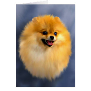 Pomeranian Porträtt Card Hälsningskort