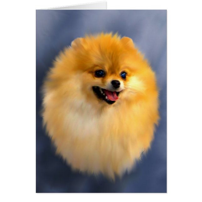 Pomeranian Porträtt Card Hälsningskort (Framsidan)