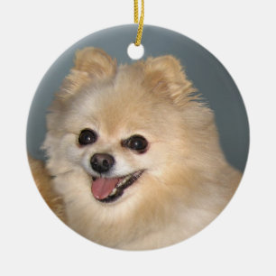 Pomeranian prydnad julgransprydnad keramik