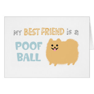 Pomeranian Puffboll OBS Kort