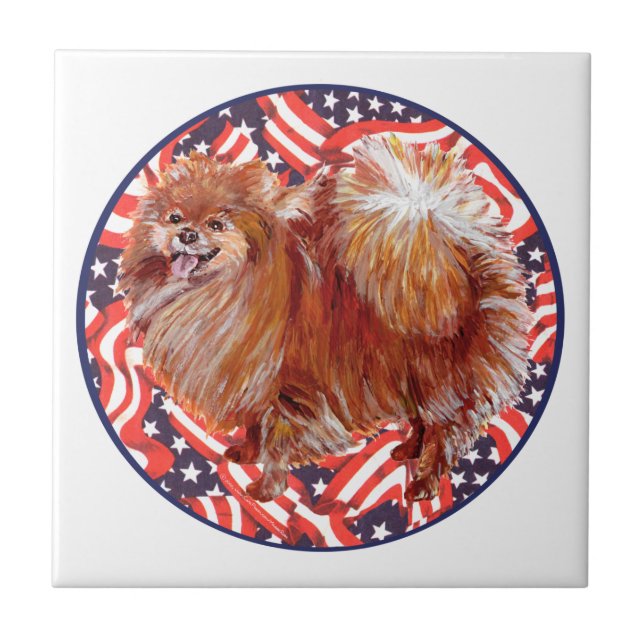 Pomeranian Röd Vit & Blå Kakelplatta (Framsidan)