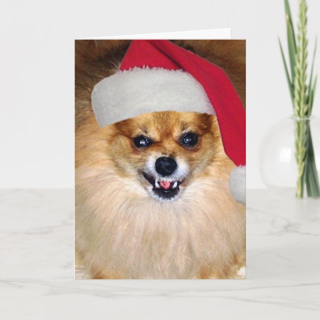 Pomeranian Santa "för glad Woofing jul" kort (Framsida)