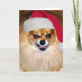 Pomeranian Santa "för glad Woofing jul" kort