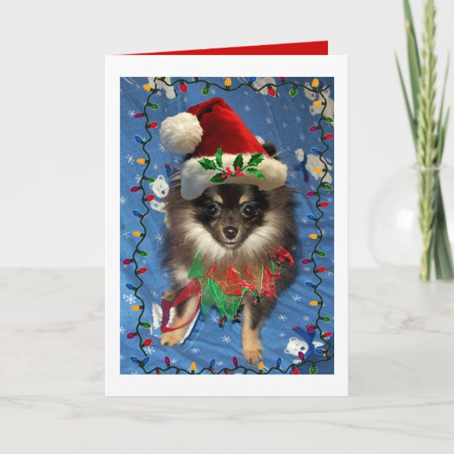 POMERANIAN SANTA HELGKORT (Framsida)