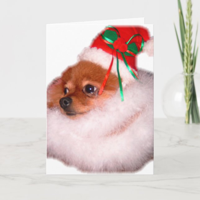 Pomeranian Santa julkort Helgkort (Framsida)