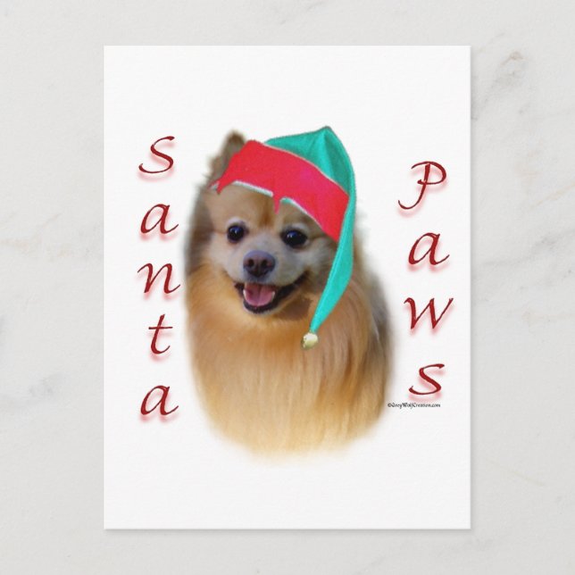 Pomeranian Santa tassar Helg Vykort (Framsida)