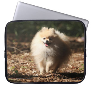 Pomeranian som traver i de stupade löven laptop sleeve