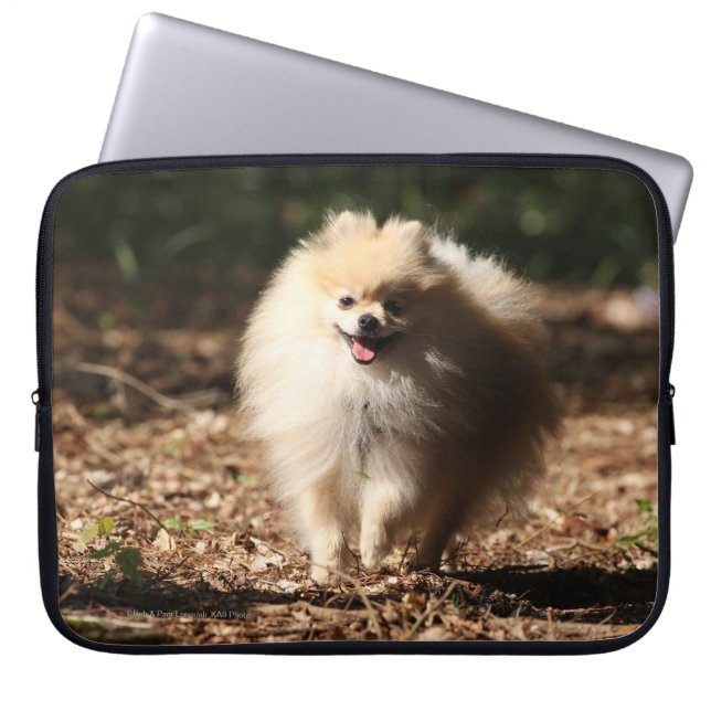 Pomeranian som traver i de stupade löven laptop sleeve (Framsidan)