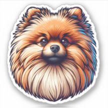 Pomeranian Sticker