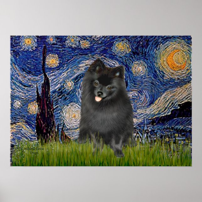 Pomeranian (svart) - Stjärnkväll Poster (Framsidan)