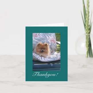 Pomeranian Tackkort Card