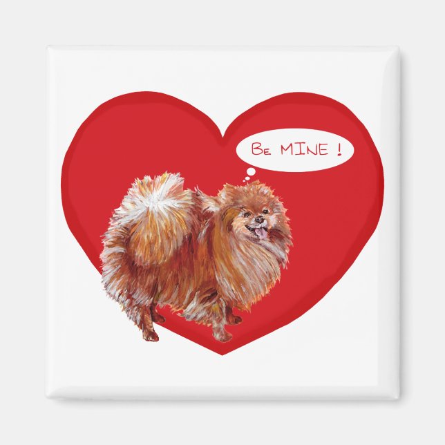 Pomeranian Valborgsmässa Magnet (Framsidan)