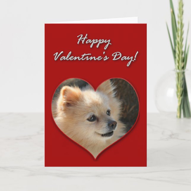 Pomeranian valentines daykort helgkort (Framsida)