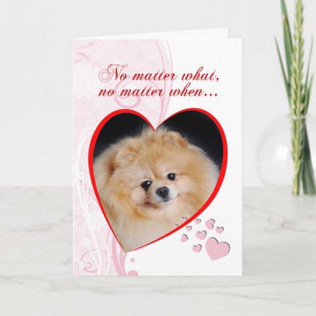 Pomeranian Valentino Helgkort (Framsida)