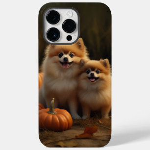 Pomeranian Valp Höstglädje Pumpa