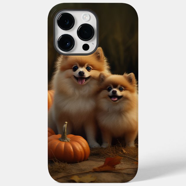 Pomeranian Valp Höstglädje Pumpa (Baksida)
