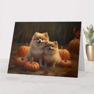 Pomeranian Valp Höstglädje Pumpa Kort