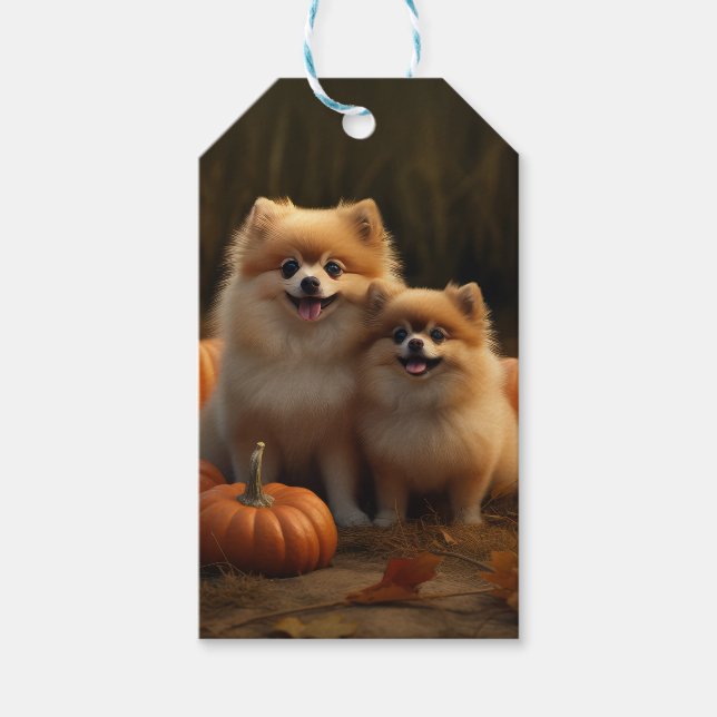 Pomeranian Valp Höstglädje Pumpa Presentetikett (Framsidan)