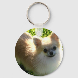 Pomeranian valpar Keychain Nyckelring
