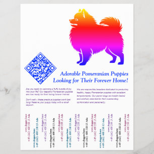 Pomeranian-valpar reklamblad