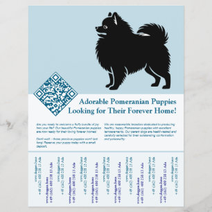 Pomeranian-valpar reklamblad