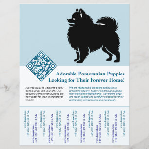 Pomeranian Valpar tillgängliga nu blåa Reklamblad