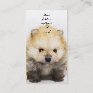 Pomeranian valpvisitkort visitkort