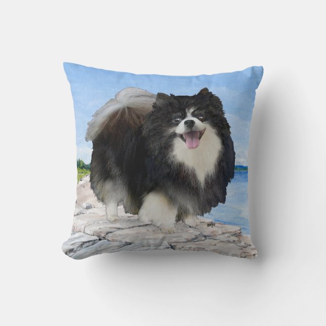 Pomeranian vid havet kudde (Framsida)