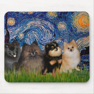 Pomeranians (fyra) - Stjärnnatt Musmatta