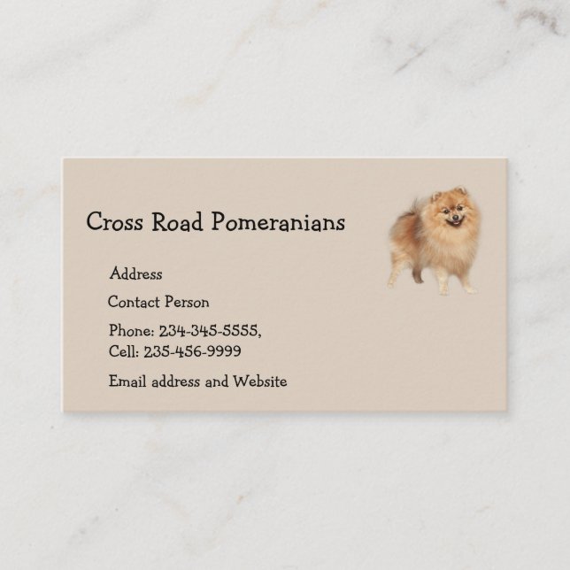 Pomeranians Hund Pet Animal Affärskort Magnet Visitkort (Framsida)