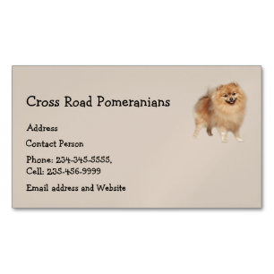 Pomeranians Hund Pet Animal Magnetiska Visitkort