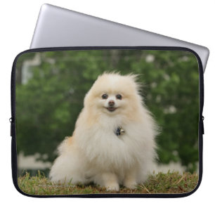 Pomeraning sitta laptop sleeve
