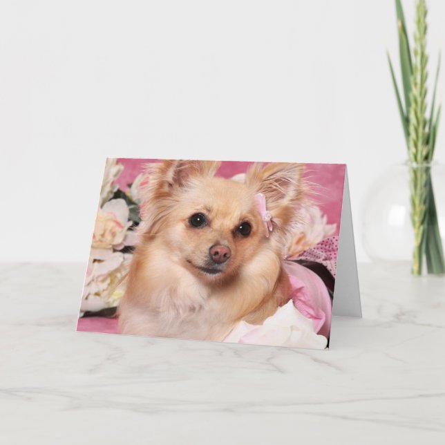 Pomerian Valentine Card Helgkort (Framsida)