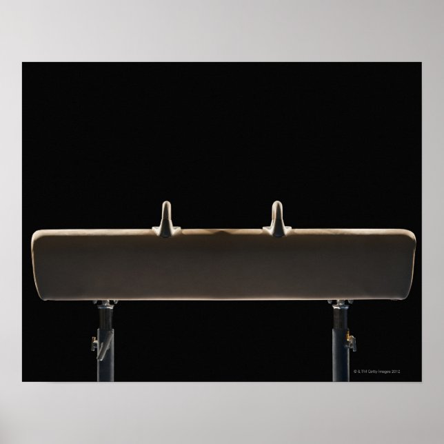 Pommelhäst Poster (Framsidan)