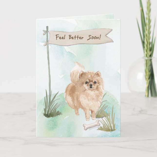 Pommeranian känner sig bättre efter kirurgi med Hu Kort (Framsida)