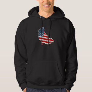 Pommern-amerikanska Flagga Patriotic Pet 4:e av Po Hoodie