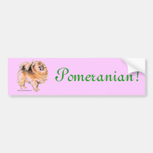 Pommern! Bildekal