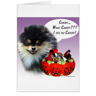 Pommern (blktan) Halloween Candy Hälsningskort