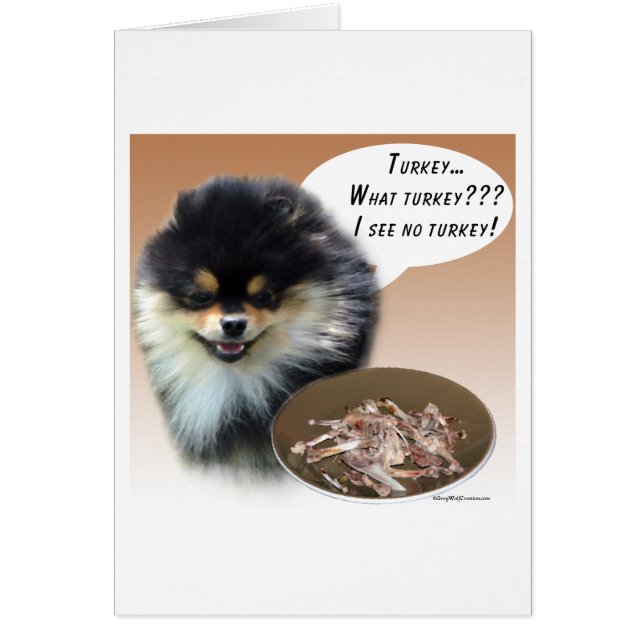 Pommern (blktan) Turkiet Hälsningskort (Framsidan)