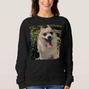 Pommern Chihuahua Pomsky Big Smile Puppy T Shirt