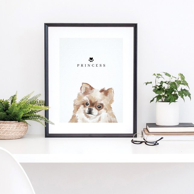 Pommern Collie Watercolor Illustration Hund Namn Poster (Skapare uppladdad)