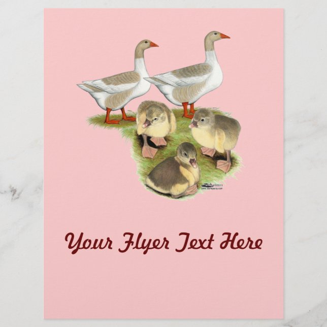 Pommern Goose-familjen Reklamblad (Framsidan)