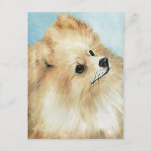 "Pommern Head Study Hund Art Postcard Vykort
