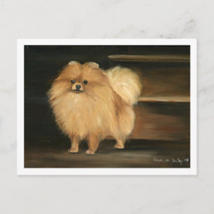 Pommern-Hund Art Reproduction Postcards Vykort
