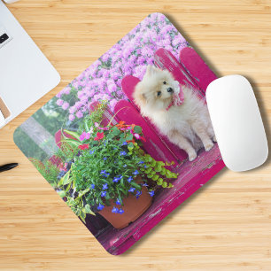 Pommern Hund Blommigt Rustic Garden Bench Scene Musmatta