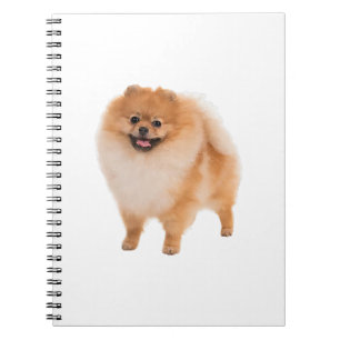 Pommern Hund Gift Anteckningsbok