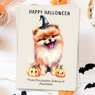 Pommern Hund Happy halloween Julkort